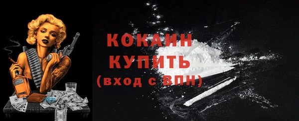 эйфоретик Богданович