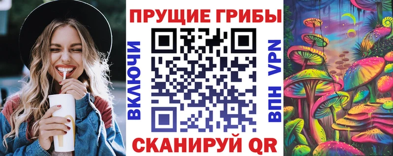 Псилоцибиновые грибы мухоморы Спасск-Дальний